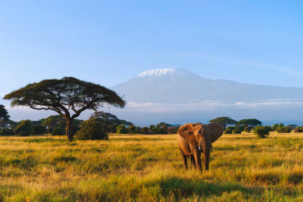 Machame Route